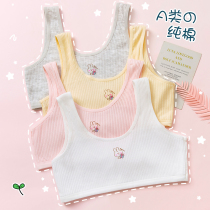 Girls small Vest development stage cotton primary school students adolescent girls childrens underwear female bras