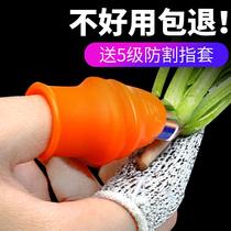 Picking Pepper artifact cutting gloves choking vegetables chili special picking finger sets iron nails agricultural picker thumb knife