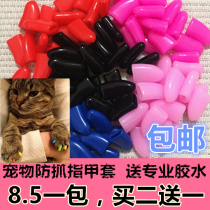 General Cat Puppy Color Prevention of Grab Toenails Teddy Nails Dog Paw Prevention Scratch Prevention of Scratch and Injury VIP Dog Compared