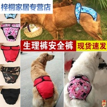 Mother dog anti-mating theorizer dog barking period pet supplies dog pants underpants Physiological Pants Female dog with large canine fur