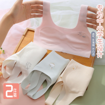 Girlshair-raising period teenage girls bra primary school students big boy underwear without marks and scarred vest female children 13-12