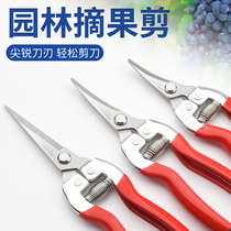 Picking artifact Pruning scissors Fruit picking artifact Multi-functional gardening fruit picking floral scissors Pruning scissors branch scissors