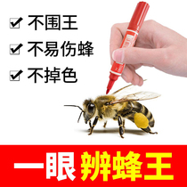 Kings Mark Pen Pen Not surrounded by Wang Zheng dry bee bee bee bee breeding tools