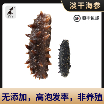 Squid young master dried sea cucumber light dry open bag ready-to-eat custom quick hair Qingdao sea cucumber dried seafood gift box high-grade gift box