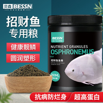  Special feed for lucky fish Fish food Disease-resistant and anti-rotten body warship fish Map fish Ornamental fish Rich tropical fish fish food