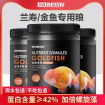 Fish food Lanshou goldfish special feed Thai Lion lion head high protein sinking small particles household sinking bottom fish food