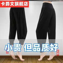 Dance pants female black loose pants closing radish pants dance suit yoga pants blouse