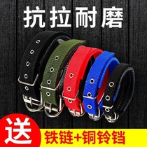 Dog collar large dog golden collar small medium husky teddy collar pet supplies