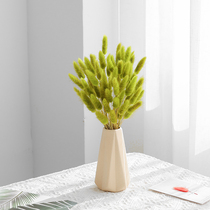 Light Luxury Rabbittail Grass Eternal Flower Dried Flower Bouquet Decoration Flower Arrangement Real Flower Natural Air-dried Decoration Living Room Home Furnishing
