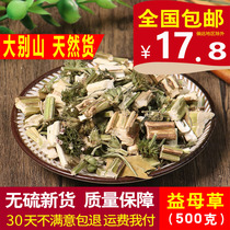 Motherwort Chinese herbal medicine Dabie Mountain wild fresh dried motherwort tea foot soak 500g grams