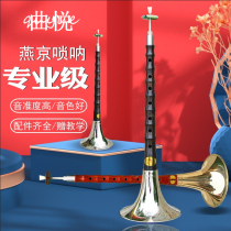 Suona musical instrument full set of beginner professional adult Ebony D D tune suona folk size old-fashioned lock na Sola
