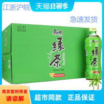 Jiangsu Zhejiang Shanghai and Anhui Master Kang Green Tea 500ml*15 bottles full box honey Jasmine green tea low sugar drink