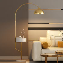 Nordic Fishing Floor Lamp Living Room Light Lavish Bedroom Bed Head Cabinet Drawer Sofa Edge TEA TABLE UPRIGHT TABLE LAMP GOLD