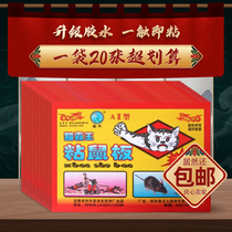 20 pieces of sticky mouse plate strong catch sticky big mouse paste glue dip increase thickened Rat kill rat catch home a nest end