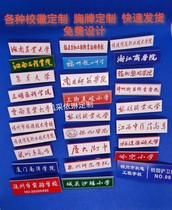 Fujian Information Vocational Technical College Badge Customized Dawn Vocational University School Badge