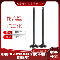 Suitable for Yamaha motorcycle FZR250 little dolphin big plate bone crystal lamp nitriding valve intake and exhaust valve