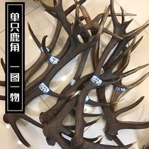 Antler pruning single branch into the medicine ornaments decorative wall hanging retro