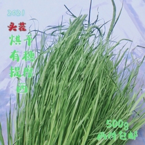 2021 New drying North Timothy Hay Hay has ear grass rabbit grain Chinchow pig feed 500g pack