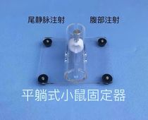 Mouse fixer rat fixed cylinder Mouse keeper small white rat belly tail intravenous injection fixer