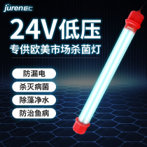 Jiren low pressure 24V fish pond fish tank sterilization Lamp UV ultraviolet algae removal diving sterilization aquarium special disinfection lamp