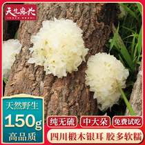 Authentic Sichuan wild white fungus white fungus snow ear waxy dry goods natural sulfur-free pregnant woman 150g lotus soup special grade