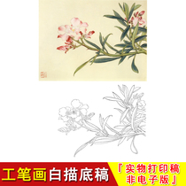 Yu Zhizhen flower and bird fine brushwork line drawing manuscript oleander sketch Chinese painting simple teaching copying physical printing JV61