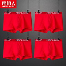 This year mens underwear mens underwear mens bungalow pants bull year pure cotton Hon. big red wedding youth shorts socks