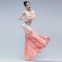 New Dai clothing female Xishuangbanna adult performance clothing adult art test dance clothing long-sleeved folk dance custom