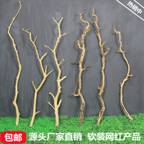 Dry Branches Log Tree Fork Peeling Tree Clothing Shop Hung Hanger Folk Juku Decoration Shop Window Exhibition Branches Ceiling Decoration