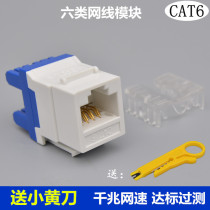 Six types of modules AMP AMP type cat6 computer socket Network cable panel over test information socket Gigabit network
