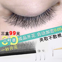 Clover Eyelash Meisui Shop Special Grafting Eyelash 2021 New BC Qiao 0 05 Super Soft Non-loose mink hair