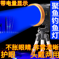 Fishing Light Night Fishing Light Blue Light Super Bright Laser Gun Headlights Purple Light High Power Intense Light Xenon Lamp Black Pit Light Seduces