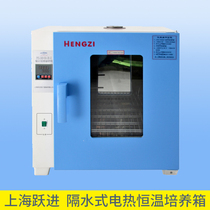 Shanghai Yuejin HGPN-II-163 HGPN-II-270 water-proof electric constant temperature incubator