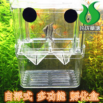 Pokémon self-floating multi-function isolation incubator box breeding box guppy fish Betta double-layer breeding egg box