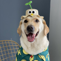 Summer fun will spin pet bamboo dragonfly pet straw hat dog big dog fruit cap