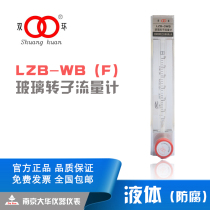 Double ring glass rotor float flowmeter Water liquid flowmeter LZB-3 4 6 10 WB