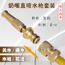 Pure copper household nipple straight spray gun set quick connector watering nozzle brush spray gun antifreeze hose hose hose