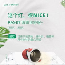 Cat in slippers with recessed LED spotlight living room bedroom aisle ceiling anti-vertigo