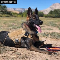 Dog tactical chest strap leash vest style walking dog rope medium large dog Golden Madrid Horse Dog riot dress