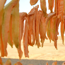 2021 New Xinjiang specialties authentic cantaloupe dried naturally without adding 500g