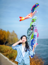 Photography and wind carp flag sushi restaurant hanging flag guide flag Japanese carp flag