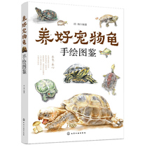 Keep a good pet turtle Hand drawing Pet turtle breeding technology Living environment building Turtle feeding methods Turtle disease prevention book Turtle breeding technology book Water turtle semi-water turtle Tortoise breeding books