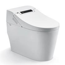 Faenza Intelligent Integrated Toilet FB16162