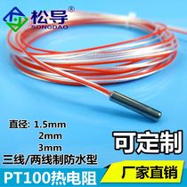 Loose guide Pt100 platinum thermal resistance temperature sensor probe Ф4*30mm stainless steel resistance core three two wire system
