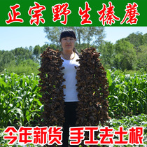 New specialty northeast wild hazelnut mushroom 500g mountain goods chicken stewed hazelnut mushroom edible fungus dried shiitake mushrooms