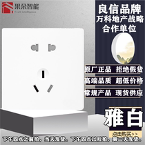 Nader Liangxin switch socket single open single control double Open dual control five hole USB air conditioning TV computer Yashi White