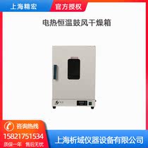 Shanghai Jinghong DHG-9038A electric constant temperature blast drying oven high temperature oven constant temperature oven
