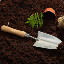 Flower small white gardening shovel household planting flowers and vegetables for pot digging tools wooden handle stainless steel material non-BB brand