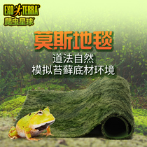 New pet natural Moss rainforest reptile carpet Tortoise mat Climbing pet snake Palace maned lion Desert mat