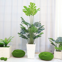 Nordic simulation Turtle Back plant turtle back leaf potted big leaf decoration ins Wind turtle back bamboo landing green plant decoration